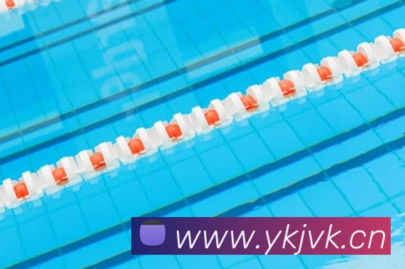 leyu体育网页登录发展历程